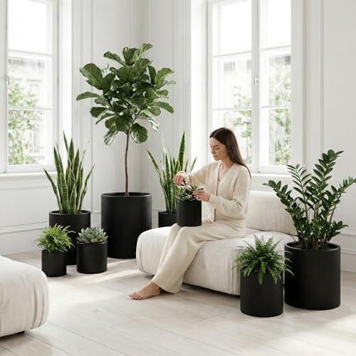 DTY Mount Powell 7.9" D x 7.9" H (Pot Opening 5.5") Fiberstone Cylindrical Planter with Drainage Hole, Weather Resistant for Indoor & Outdoor Use, Includes 2 Extra Coco Mats - Black, Extra Small - Image 5