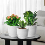 WSMKSZ 10/9/8 inch Medium Plant Pots, Set of 3 Modern Decorative Plastic Planters with Drainage Holes and Saucers for Garden House Plants, Flower Pots for Indoor Outdoor Plants, Speckled White - Image 7