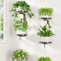 LASZOLA Plant Hanger Holder Window Shelf Wall Mounted Indoor, 2 Pcs Bronze by LASZOLA