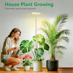 6.3in Grow Light for Indoor Plants, 15W Full Spectrum Halo Plant Light - Image 5