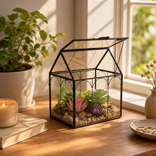 Ferrisland Glass Geometric Plant Terrarium, Clear Glass Succulent - Image 5