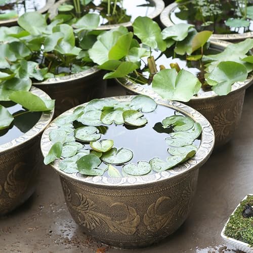 Large Flower Pot Thickened Plant Pot with Drainage Hole Retro Resin Lotus Planter for Indoor Outdoor Plants Home Gardening Flower Pots No Drainage Hole L - Image 7