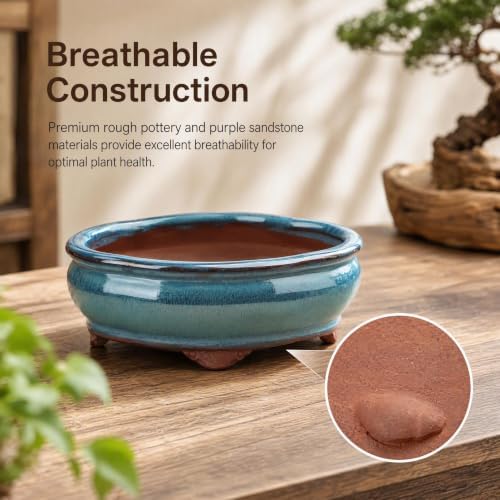 6" Ceramic Succulent Pots, Planters with Drainage Holes, 3 Pack - Image 4