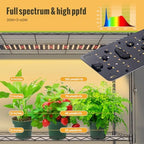 Indoor Greenhouse with Grow Light,4-Tier Plant Shelf, 30x14x59in - Image 7