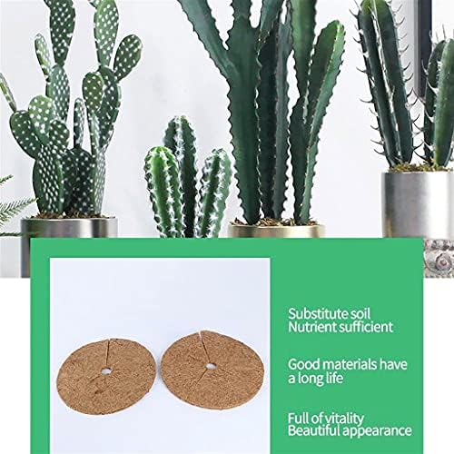 Coconut Mulch Mats, Coconut Mulch Cover Plant Coir Mat for Gardening 35cm/40cm(35cm) - Image 6