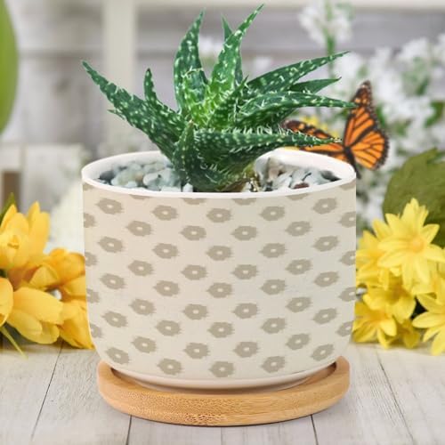 Timur in Blue Background Ceramic Planters Geometric Modern Snake Plant Live Indoor with Pot with Drainage Holes and Saucers Pot for Outdoor Garden Home Plant - Image 6