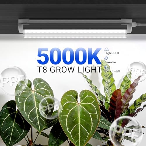 Barrina T8 Grow Lights for Indoor Plants, 5000K Full Spectrum, 1FT, 4 Packs - Image 2