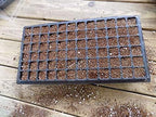 Bootstrap Farmer 50 Cell Seed Starting Trays Extra Strength, 30 Pack, Seedling Tray 1020 Inserts - Image 3