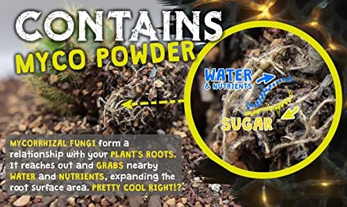 High Drainage Cactus Soil Potting Mix with Mycorrhizal Fungi - 8 Pounds / 4 Quarts of Soil for Succulents and Cactus - Slightly Acidic, Gritty Soil for Healthy Indoor Plants - Spike & Bloom - Image 3