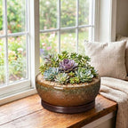Bonsai Tree Pots 10 Inch, Ceramic Succulent Pots, Speckle Brown - Image 4