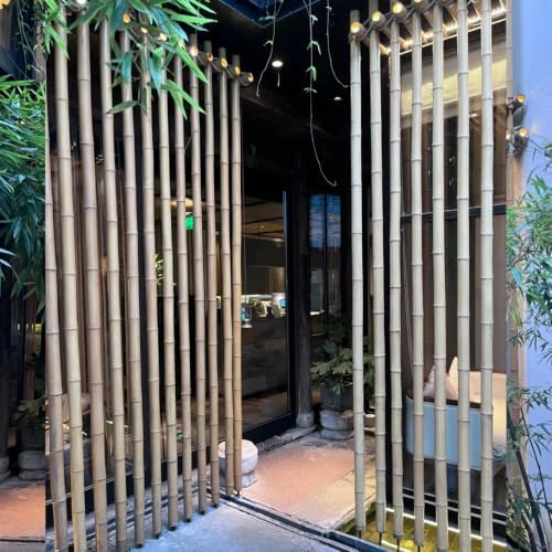 Natural Bamboo Plant Stake (Approx 8ft 10pcs 1") Sturdy Bamboo Poles, Durable Plant Bamboo Stake, Garden Climbing Plant Bracket. - Image 7