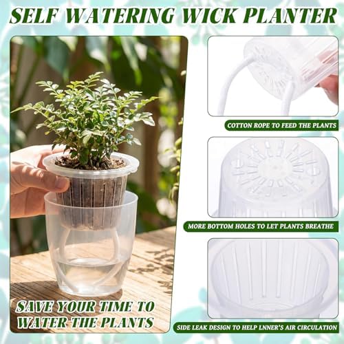 Self Watering Plant Pots, 3.5'', Transparent, 18 Pcs - Image 3