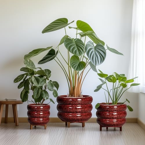 SQOWL Ceramic Flower Pots - 8 Inch Planter for Indoor Plants, Ceramic Plant Pot with Drainage Hole, Bubble Round Planter for Outdoor Plants, Office Home Desk Decor, House Warming Gifts, Red - Image 7