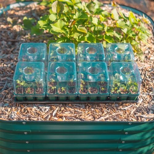 Vego garden Seedling Tray Lids with Drip Irrigation, 32 Pack - Image 4