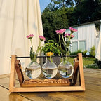Kingbuy Retro Wooden Stand with 3 Bulb Vase + Wall Mounted 5 Glass Test Tubes Planter Plant Propagation Stations - Image 7