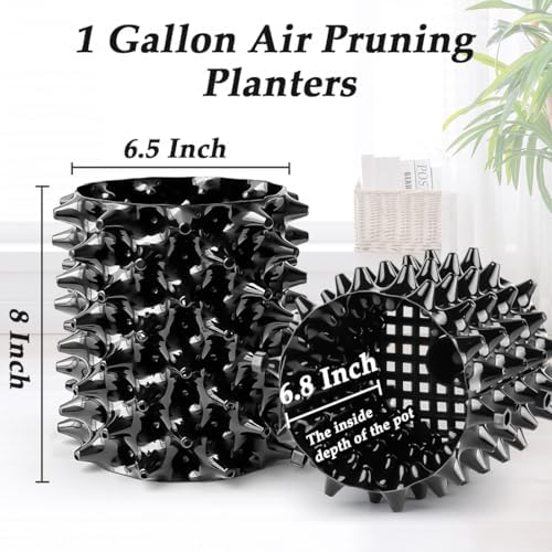 RooTrimmer 1 Gallon Air Pruning Containers, New Plastic Nursery Pots, Fruit Vegetable Garden Self-Planting Pots, Black (1G-10P) - Image 3