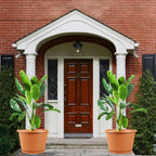 Large-Planter-Indoor-Outdoor Plant Pots, 16 inch 4 Pack Plastic Flower Pots with Saucer And Drainage Holes, Modern Garden Planters For Planting Medium Large Plants, Decorative Resin Garden Pots - Image 2