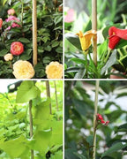 Natural Bamboo Plant Stakes (6ft-50pcs) - Image 6