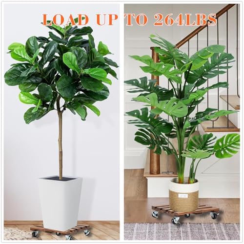 2 Pack Plant Stand with Wheels, 14" Rolling Plant Stand 264 LBS Heavy Duty Wooden Square Plant Caddy with Metal 360° Lockable Caster Wheels for Outdoor Indoor Large Plant Pots, Flower Pot, Patio - Image 2