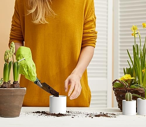 D'vine Dev 12-Pack Mini White Plastic Planters with Saucers, 3 in, 74-Z-C-4 - Image 6