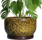 SQOWL 10 Inch Plant Pot - Ceramic Flower Pots with Drainage Hole and Saucer, Ceramic Planter for Indoor Plants Outdoor, Decorative Round Large Planter, House Decor, Gifts for Women Men, Yellow by SQOWL