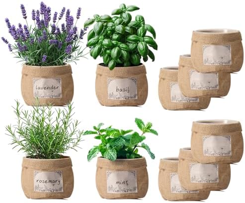 10 Sets herb pots for Indoor Plants,5 inch Clear Plastic Plant Pots with Drainage and Saucer,herb planters with Vintage Decorative Burlap Flower-Pot Cover for Windowsill, Kitchen, Balcony by TineDew
