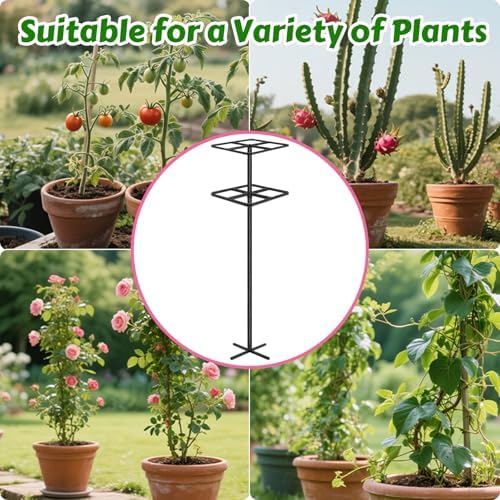 Adjustable Double-Layer Dragon Fruit Trellis Black Metal 1Pc - Image 3