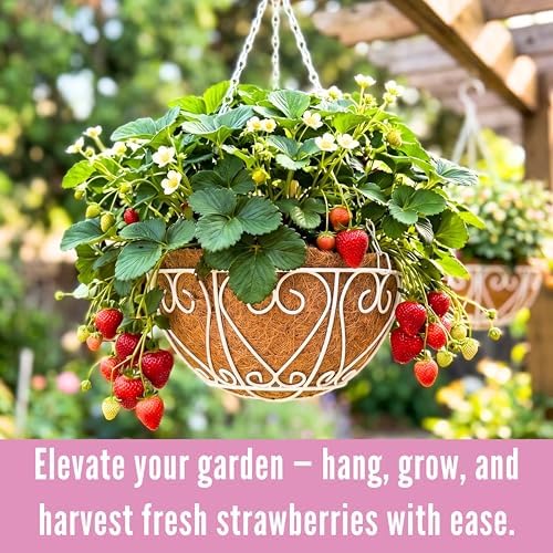 LaLaGreen Porch Hanging Baskets (16 in, 4 Pack) White Metal Coco Liner Pots - Image 4