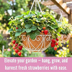 LaLaGreen Porch Hanging Baskets (16 in, 4 Pack) White Metal Coco Liner Pots - Image 4