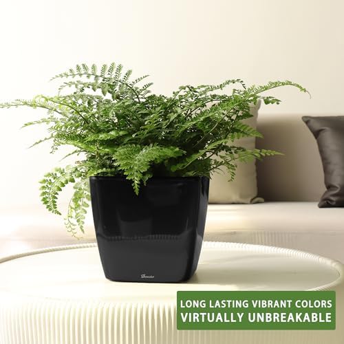Dexceder 9x8 Self Watering Planter (Black High Gloss) - Image 6