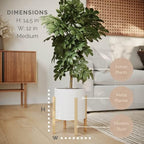 EverNest Claire Minimalist White Plant Pot with Kinsley Wood Stand, Indoor Mid-Century Planter, SelectBase, Modern Plant Holder, Boho Style Home Décor Pots (Medium, 2 Gallon) - Image 2
