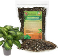 Gardenera Premium Dumb Cane Potting Soil Mix - Ideal Blend for Growing Robust and Healthy Dumb Cane Plants - 5 Quart by Gardenera