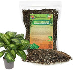 Gardenera Premium Dumb Cane Potting Soil Mix - Ideal Blend for Growing Robust and Healthy Dumb Cane Plants - 5 Quart by Gardenera
