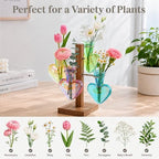 Nacome Plant Terrarium Propagation Stations: Colored Vase with Wooden Stand - Image 6