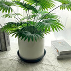 Ceramic Plant Saucer Tray 12 14 15 Inch Black, 15" OD x12.25 ID x2.2 Deep| Extra-Large Size Sturdy Heavy Duty Glazed Bevel Planter Drip Flower pots with Catch Basin for Indoor Outdoor Plants - Image 3