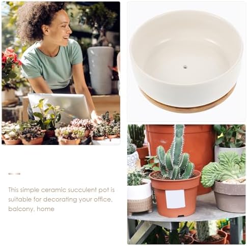 DOITOOL Succulent Planter Pot White Ceramic with Bamboo Tray - Image 3