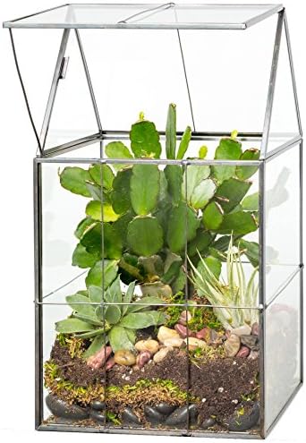 D'Eco Large Glass Plant Terrarium, Centerpiece & Wedding Letterbox Display by DecoHousewares-InnovativeSolutionsforInnovativeHomes