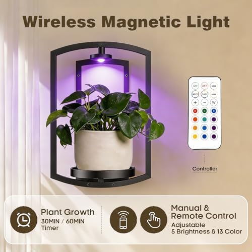 Aisdan Wall Plant Holder, Wall Planters for Indoor Plants with Wireless Remote Lights, Frame Plant Wall Shelves Wall Mounted Plant Holder for Living Room, 2 Pack - Image 4