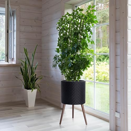 D'vine Dev Planter Pot with Wood Stand, 16 in, Distressed Black, 88-Z-E-5 - Image 6