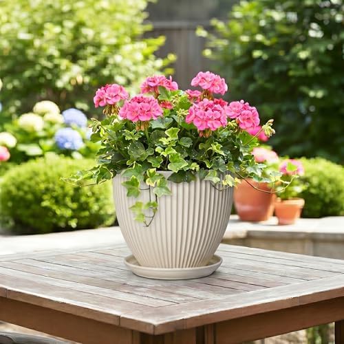 Ceramic Flower Pots, 8 Inch Plant Pot with Saucer, Cream White - Image 4