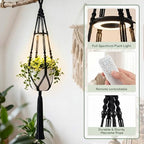 Huquary 3 Pack Macrame Hanging Plant Hanger with Grow Light,Black - Image 2