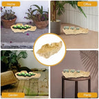 DOITOOL Tree Root Succulent Plant Pot Resin Planter Pot 13.38 X 4.72 X 3.54 in Garden Flower for Succulents Desk Balcony Patio Home Decor - Image 5