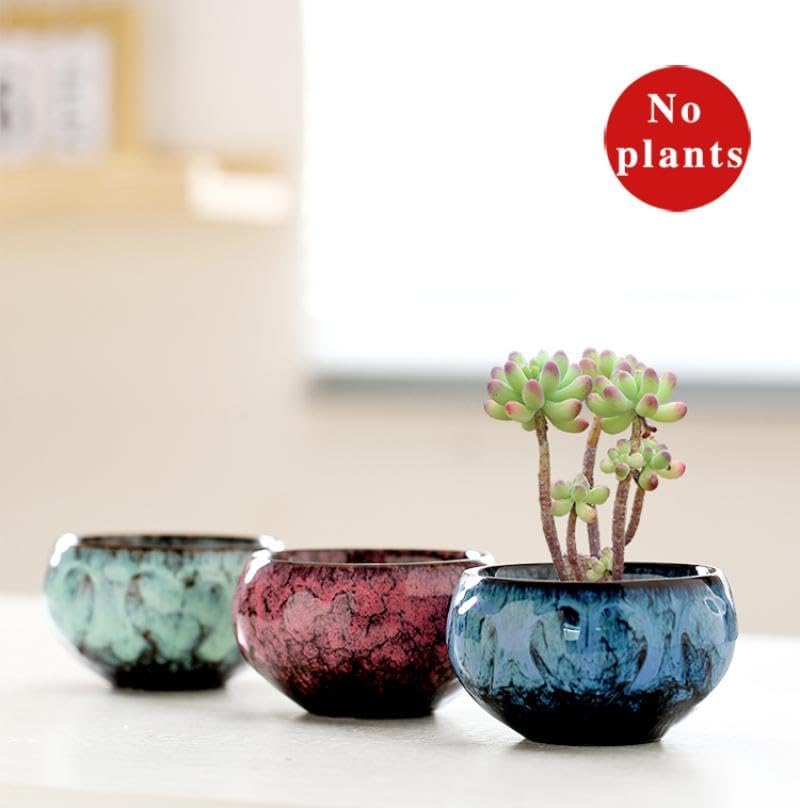 YYW Succulent Pots with Tier Bamboo Stand, Indoor Small Flower Cactus Pots - Image 3