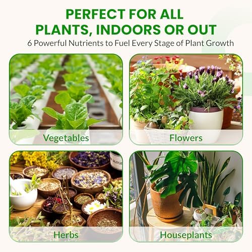 Humboldts Secret Starter Kit, Plant Fertilizer & Hydroponic Nutrients, XL - Image 6