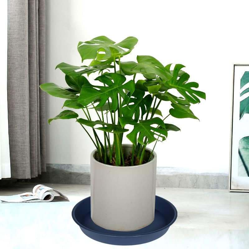 2 Pack of 18 19 inch Plant Saucer Drip Tray (16.6 inch Base), Heavy Duty Deep Plant Saucers for Pots, Plastic Flower Planter Water Trays for Indoors Outdoor (19", Blue) - Image 5