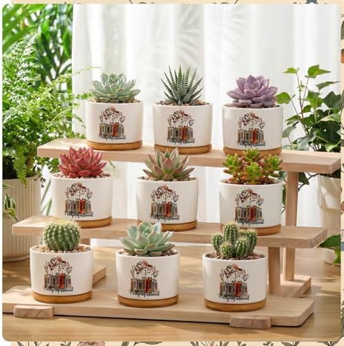 12 Pcs Paraprofessional Appreciation Gifts Succulent Planter Pots Ceramic Mini with Bamboo Trays Bulk for Teacher Assistant para Coworker Office Graduation Gifts, Plants Excluded - Image 5