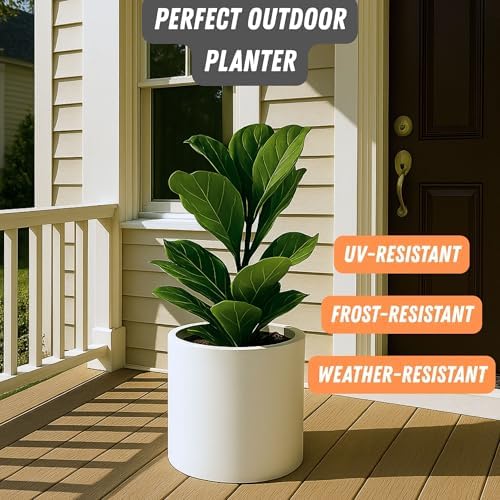 Fox & Fern Large Planter for Indoor or Outdoor, Matte White, 12 Inch - Image 5