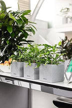 Lechuza Canto Stone 14 Stone Grey, Self-Watering Small Square Planter, H5.5 L5.5 W5.5 in - Image 5