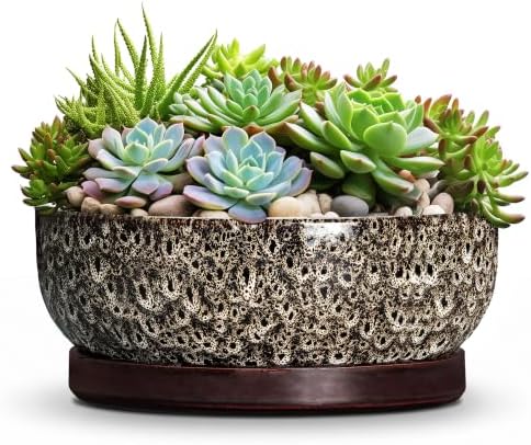 Succulent Pots, 10 Inch Ceramic Bonsai Tree Pots, White Leopard by Unknown