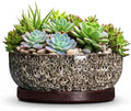 Succulent Pots, 10 Inch Ceramic Bonsai Tree Pots, White Leopard by Unknown